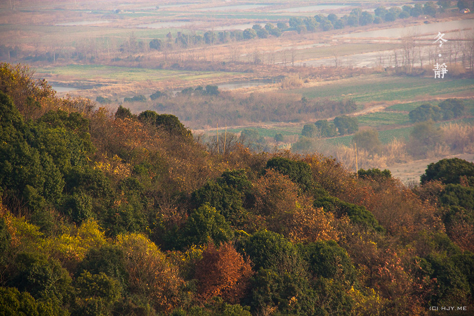 IMG_3417