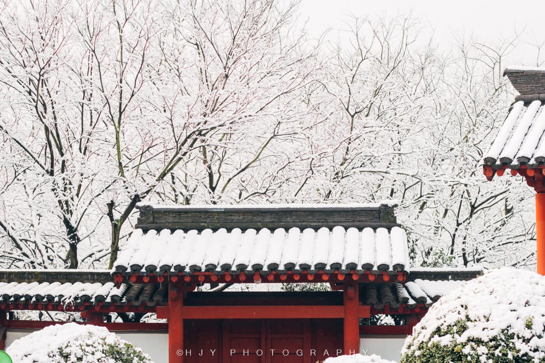 春雪