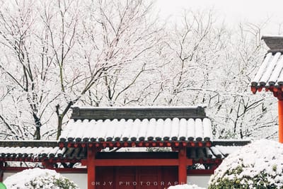 春雪