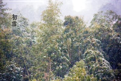 初雪